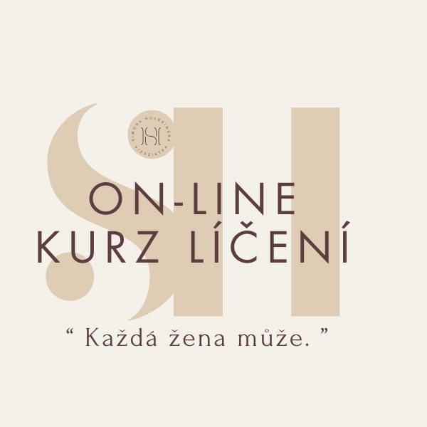 On-line kurz líčení