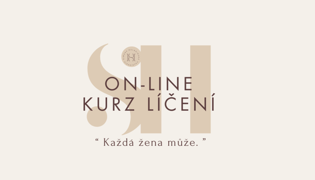 On-line kurz líčení